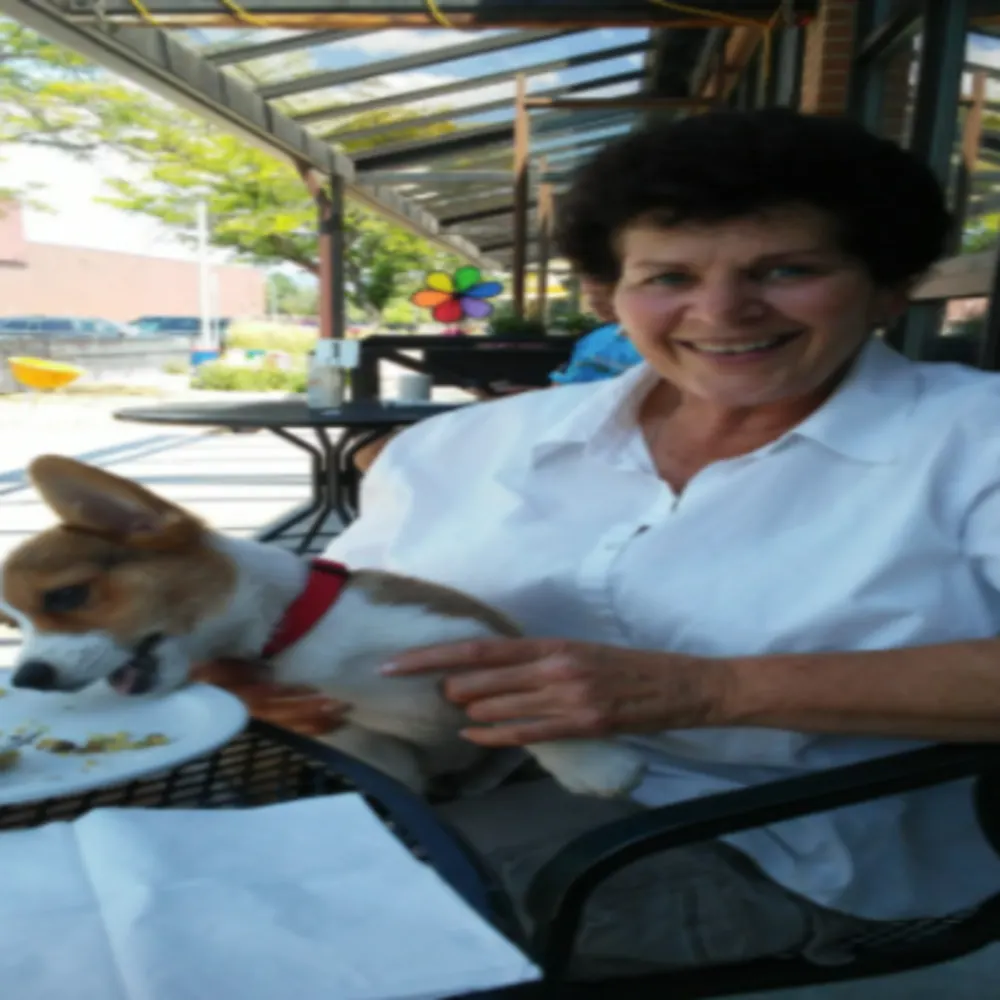 Love Animals Pet Care