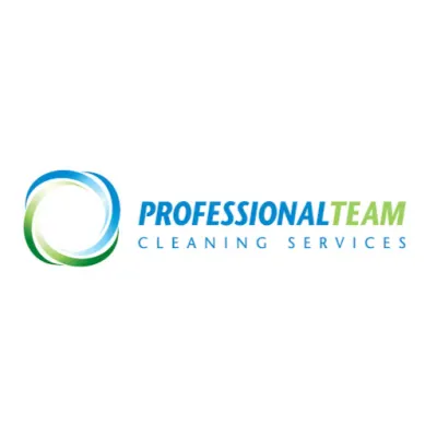 Professional Team Cleaning Services