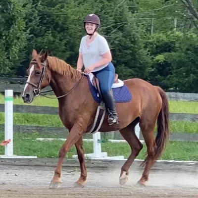 Bay Ridge Equestrian