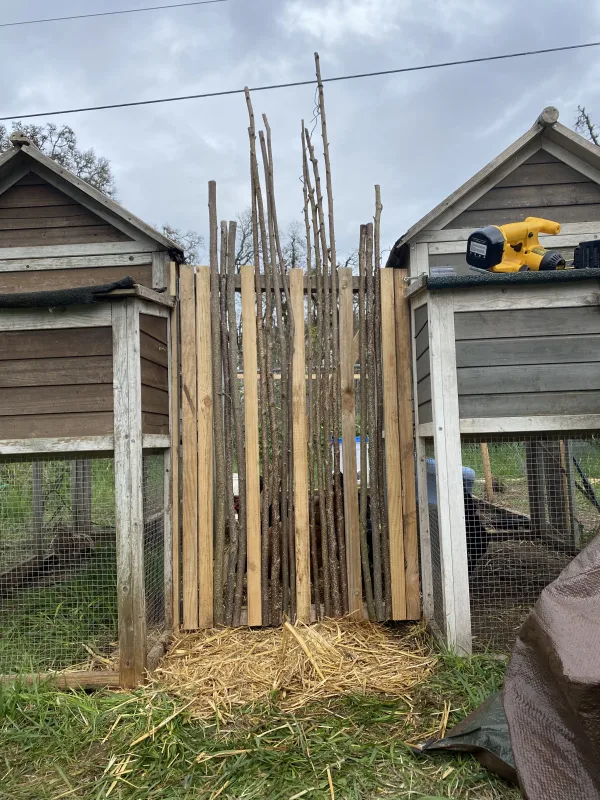 Chicken coop gate
