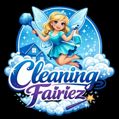 CT Cleaning Fairy