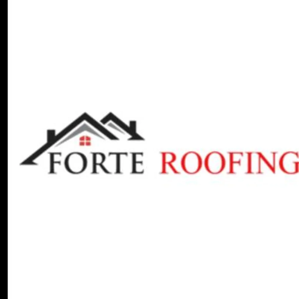 Forte Roofing