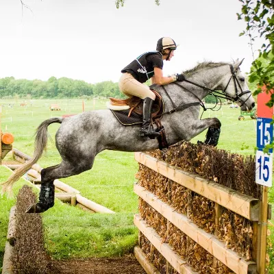 Top Notch Eventing