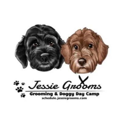 Jessie Grooms & Doggy Daycare