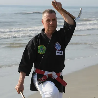 Okinawan Temple Karate Studio