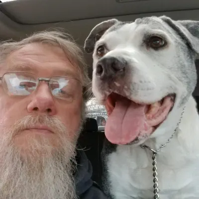 Big Jeff Dog Training And Walking