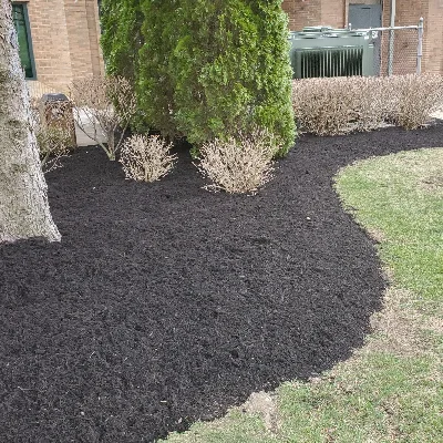 Felty's Lawn Maintenance