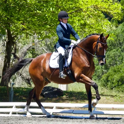 Jessica Miller Dressage