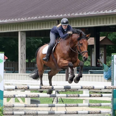 Horse Play Stables