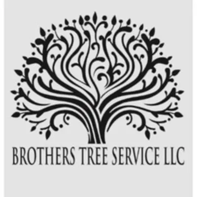 Brothers Tree Service LLC