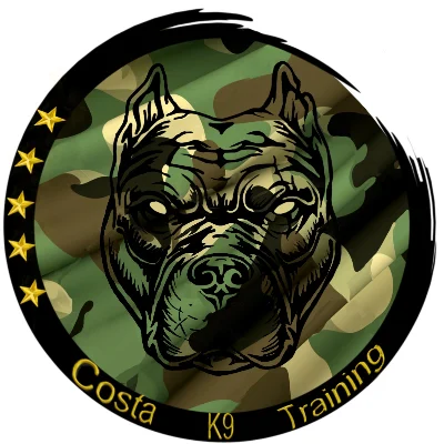 Costa K9 Training