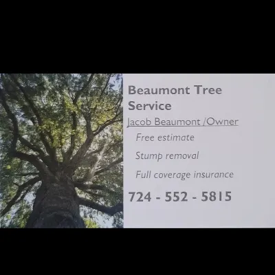 Beaumont Tree Service LLC