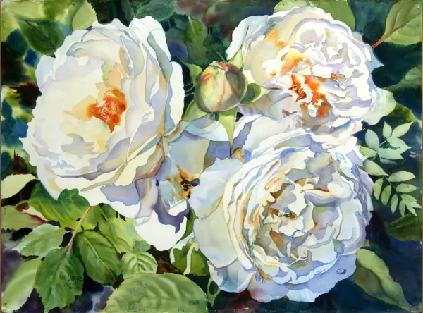 White Roses