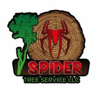 Spider Tree Services, LLC