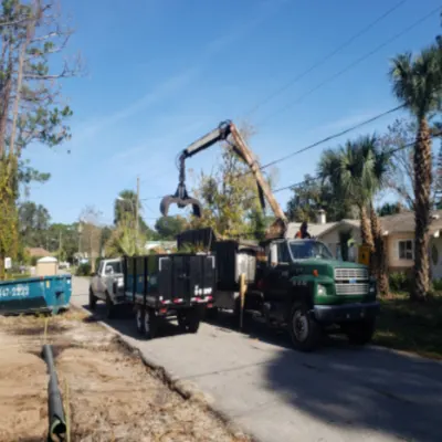Altitude Tree Care