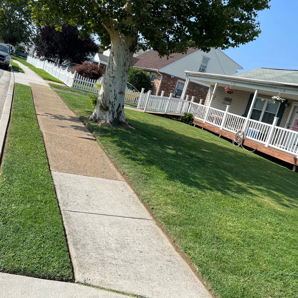 Moore's Mowing