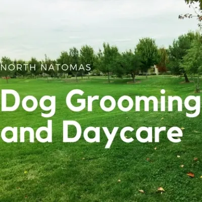 Private Dog Grooming And Daycare