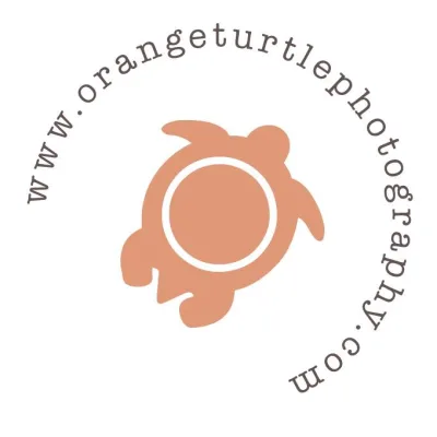 Orange Turtle Photography