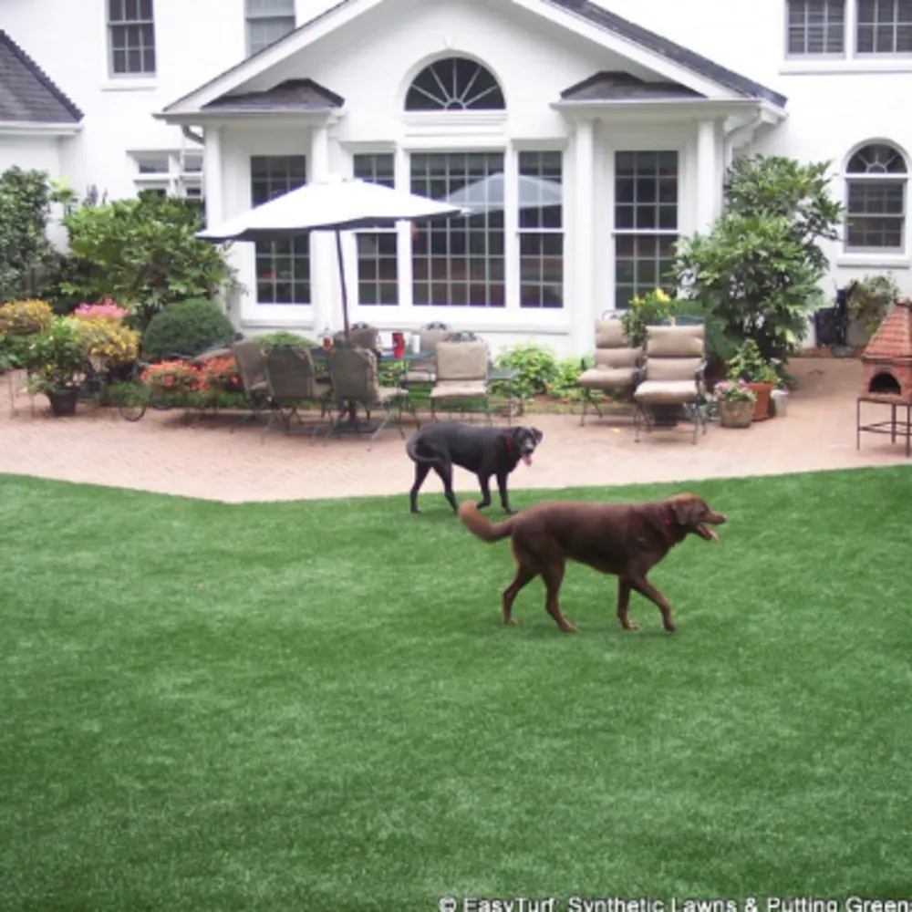 Ideal Turf Austin