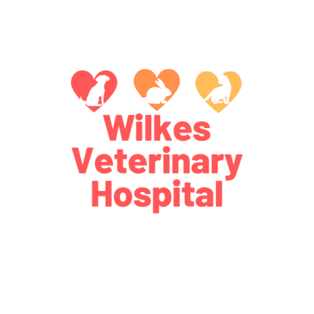 Wilkes Veterinary Hospital