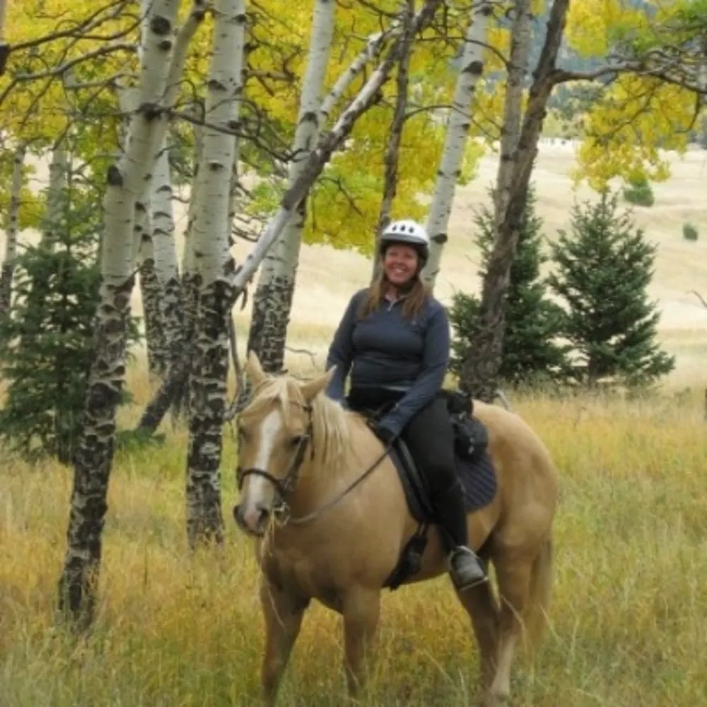 Phoenix Equine Training, LLC