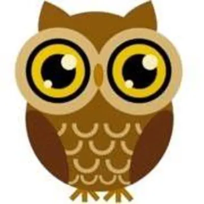 Wise Owl Daycare