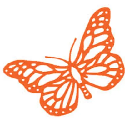 Discovery Dayschool
