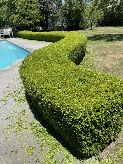 Landscaping Los Reyes-Unlicensed Contractor