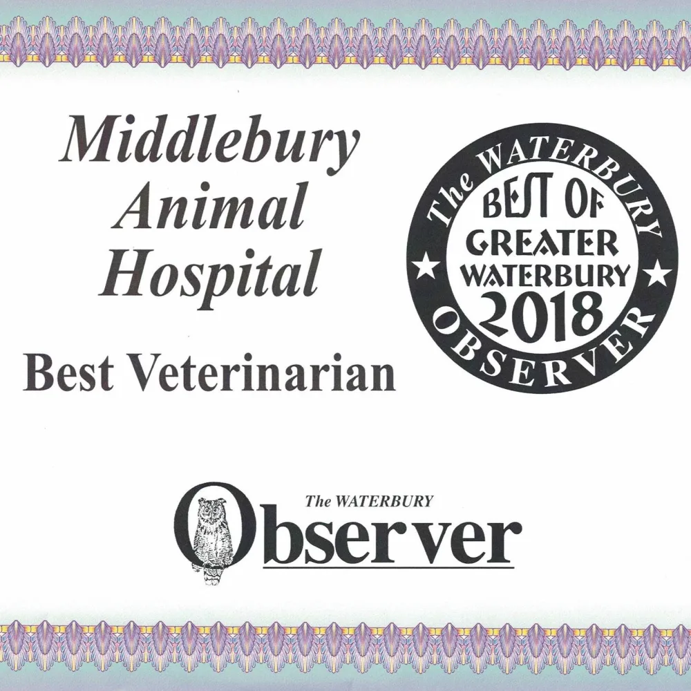 Middlebury Animal Hospital