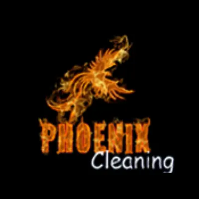 Phoenix Cleaning