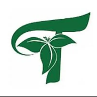Trillium Montessori At Cumming