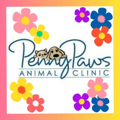 Penny Paws Animal Clinic