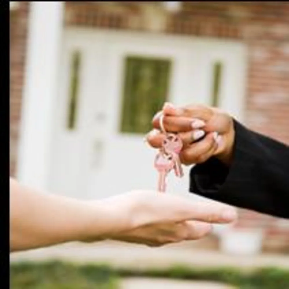 Davis Realty - Steve Davis Broker