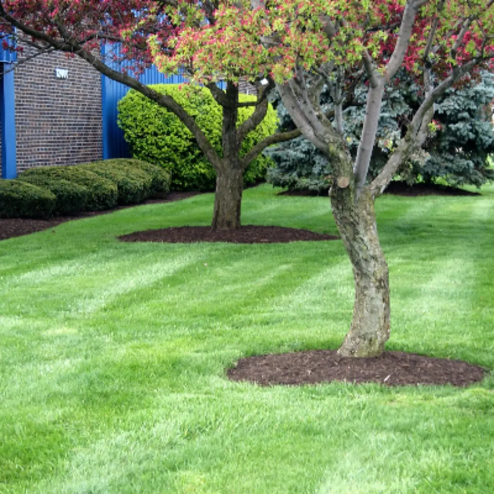 Lightning Strikes Lawn Care