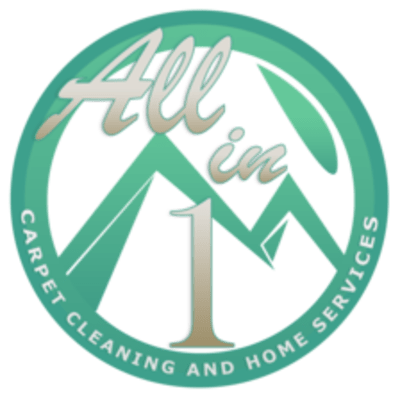 All In One Carpet Cleaning And Home Services