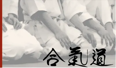 Aikido Club - University Aikido