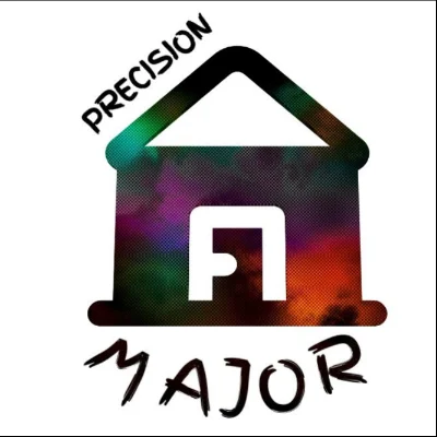 Precision Major LLC