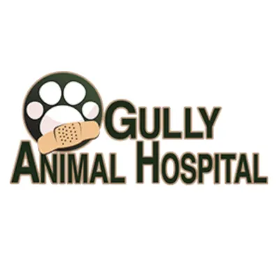 Gully Animal Hospital