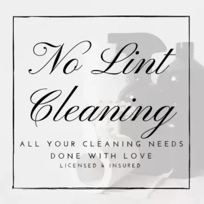 No Lint Cleaning LLC