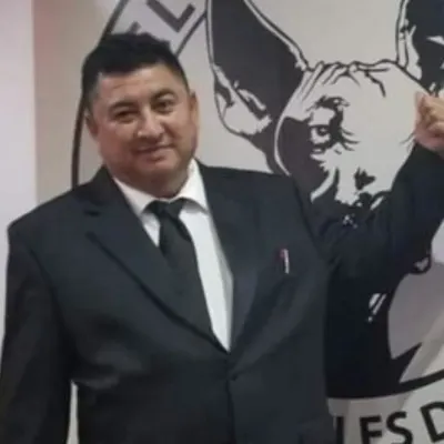El Profe Castillo Academy