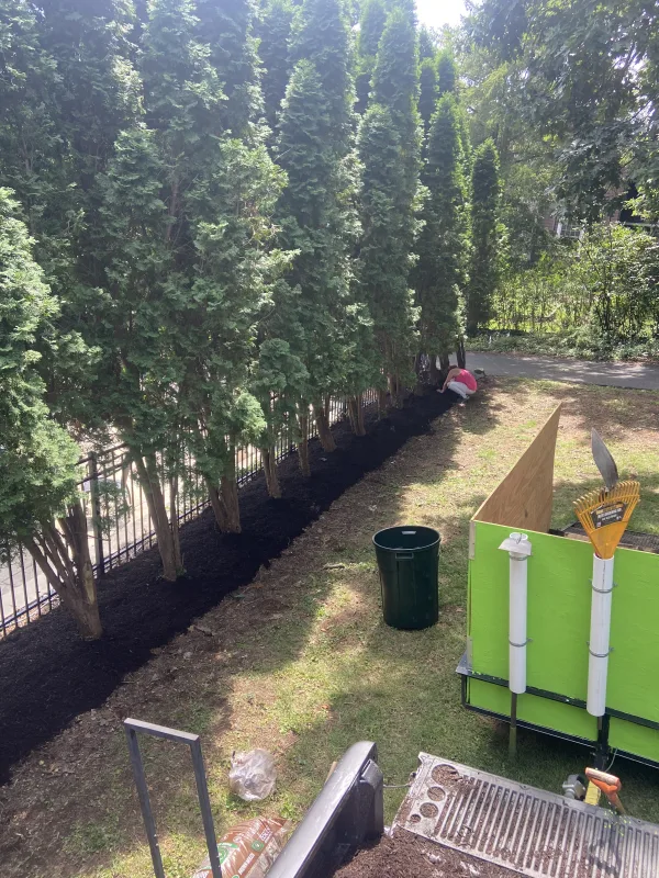 Straight lined beds of fresh mulch