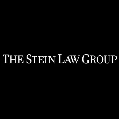 The Stein Law Group