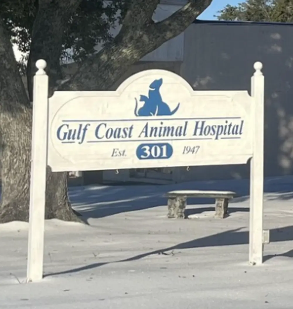 Gulf Coast Animal Hospital