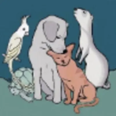 Fruitport Animal Hospital