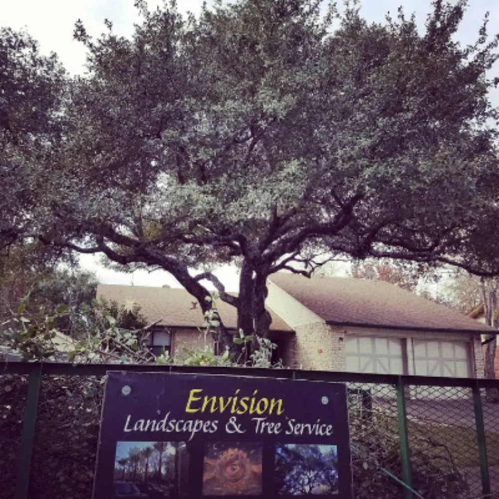 Envision Landscapes & Tree Service