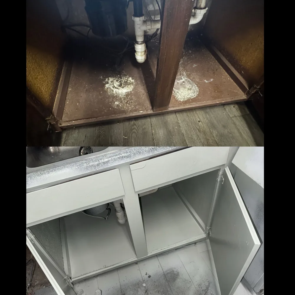 DE&A Renovation