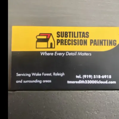 Subtilitas Precision Painting