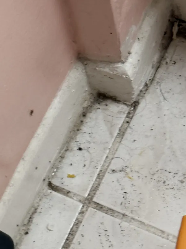 Before cleaning