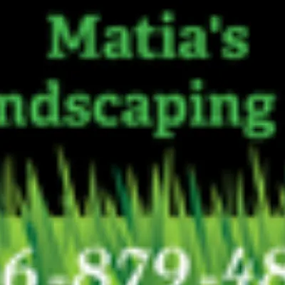 Matias Landscaping Llc