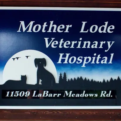 Mother Lode Veterinary Hospital